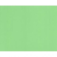 Краситель Colorex 41 зеленый 100 мл